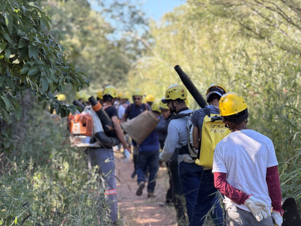 Brigadistas comunitários vão atuar nos incêndios florestais em Goiás