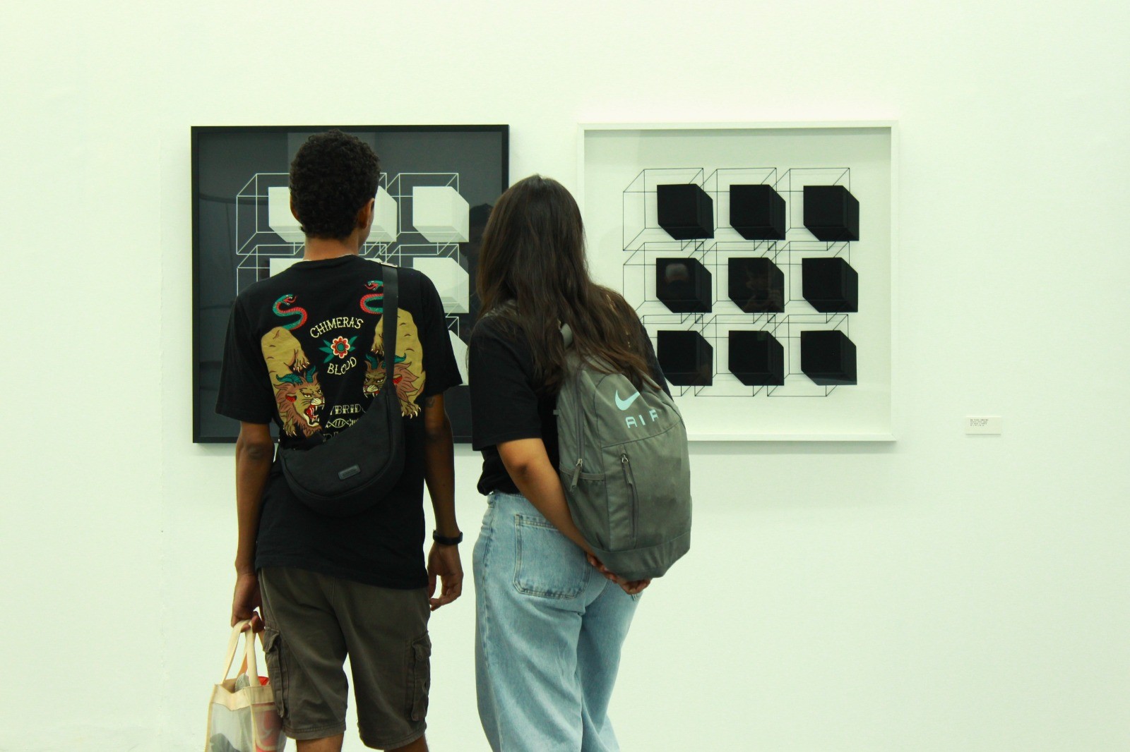 Centro Cultural Octo Marques recebe bate-papo sobre mostra de Evandro Soares