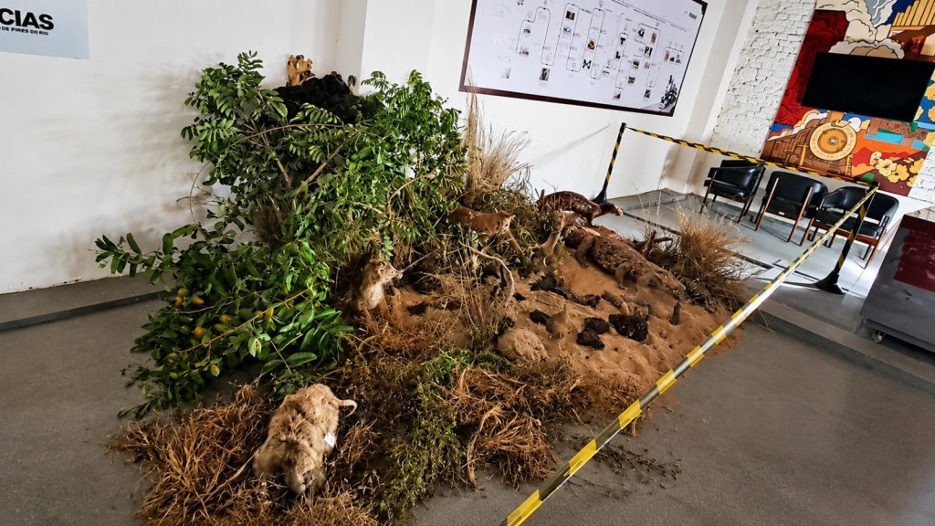 Exposição no Museu Ferroviário de Pires do Rio celebra o Dia Mundial do Meio Ambiente - instalação da mostra demonstrando a derrubada de árvores