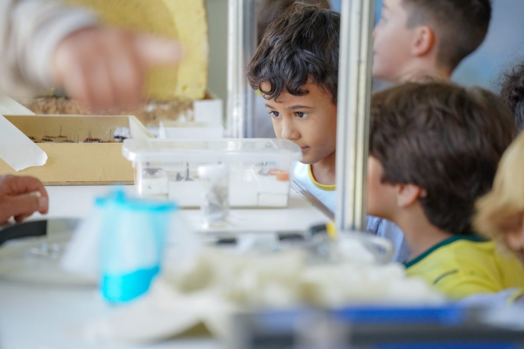 SES leva educação em saúde ao Fica
