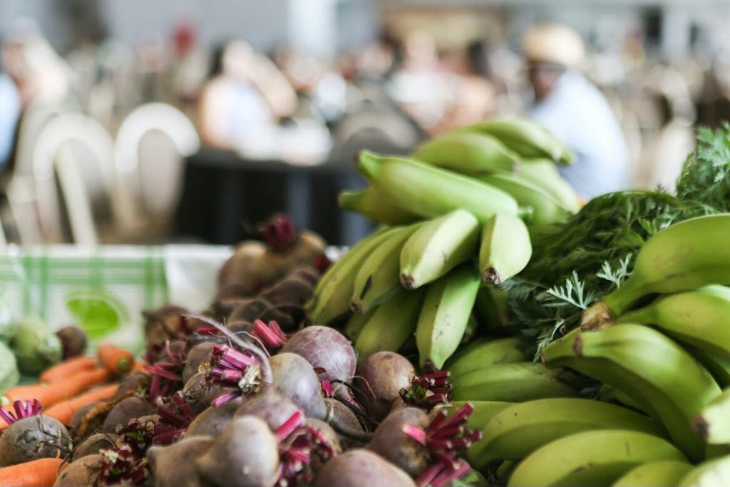 Alimentação escolar em Goiás conta com produtos da agricultura familiar