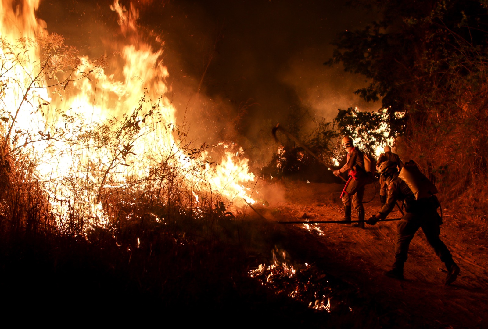 Efetivo do Corpo de Bombeiros segue em prontidão em 72 unidades e oito parques estaduais goianos (Fotos: CBMGO)