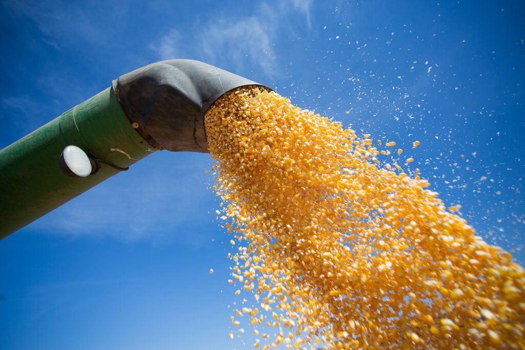 Agricultura de Goiás lidera produção de três culturas no país