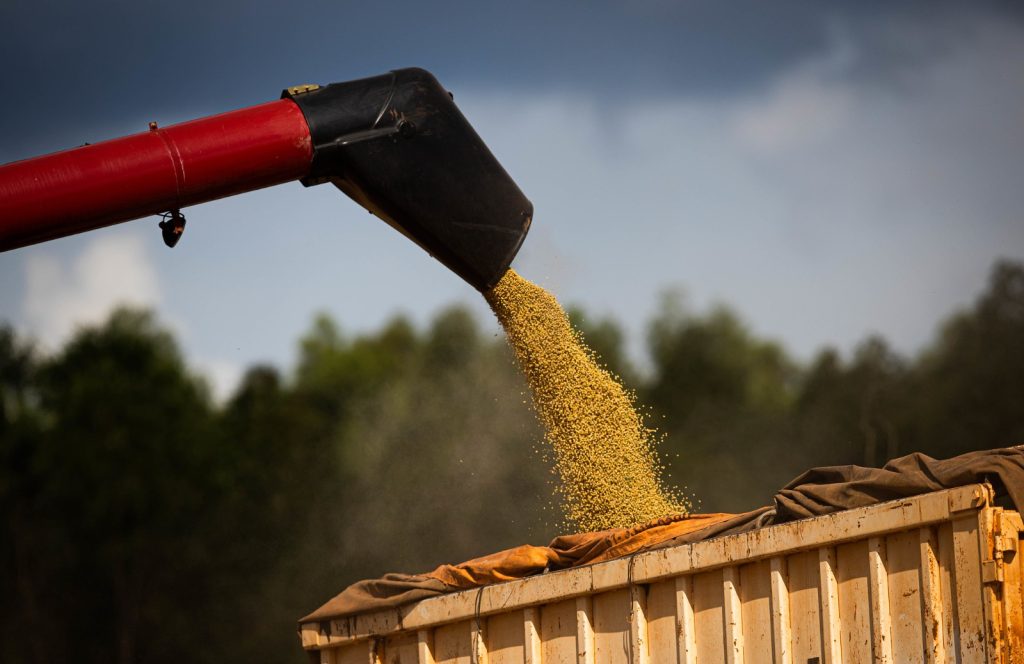 Agricultura de Goiás lidera produção de três culturas no país