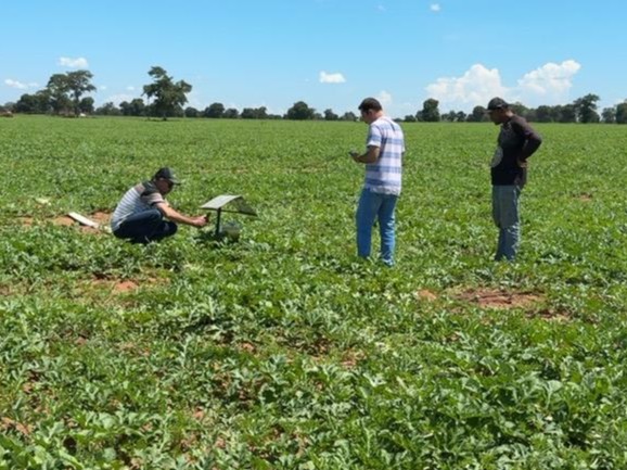 Fiscais da Agrodefesa