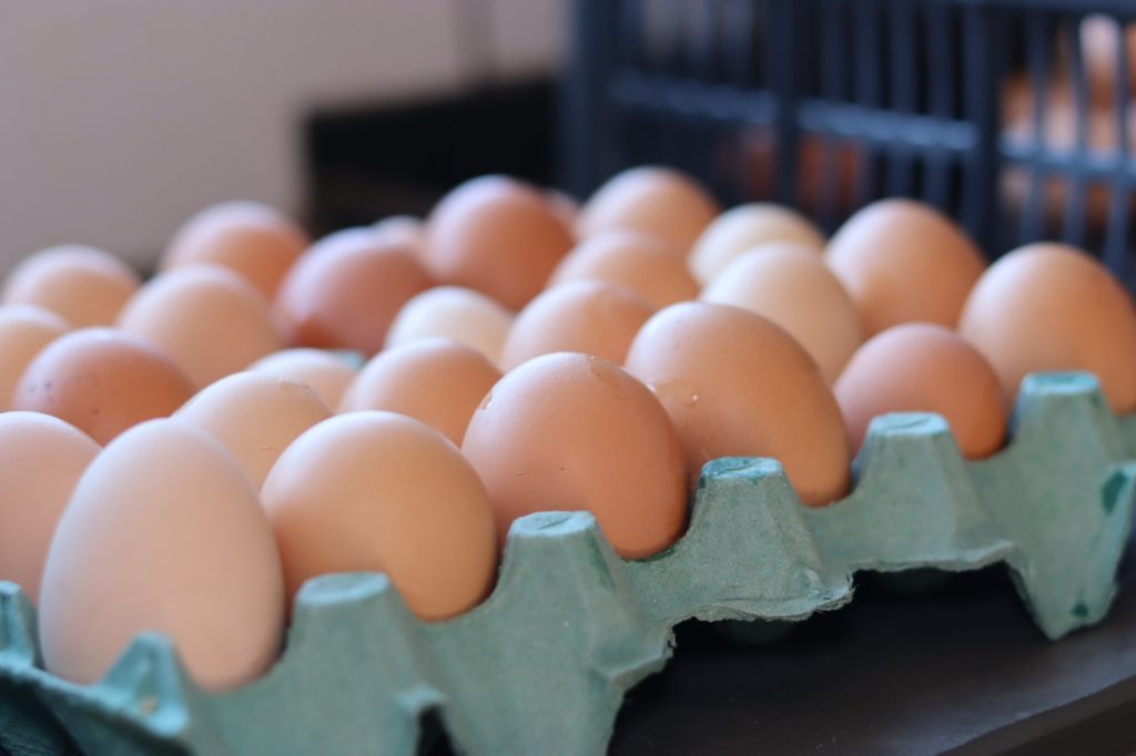 Goiás registra segundo maior volume de produção de ovos no primeiro semestre - caixa de ovos "vermelhos"